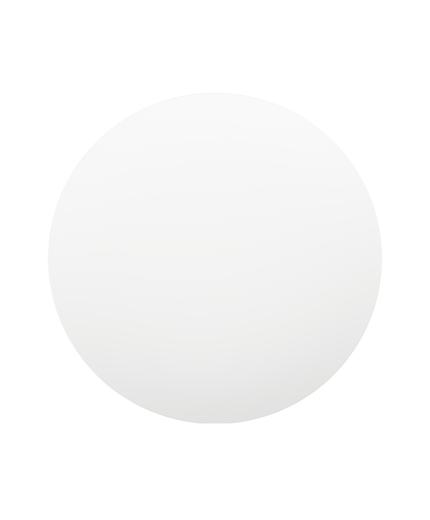 Mi Smart LED Ceiling Light (350mm) 